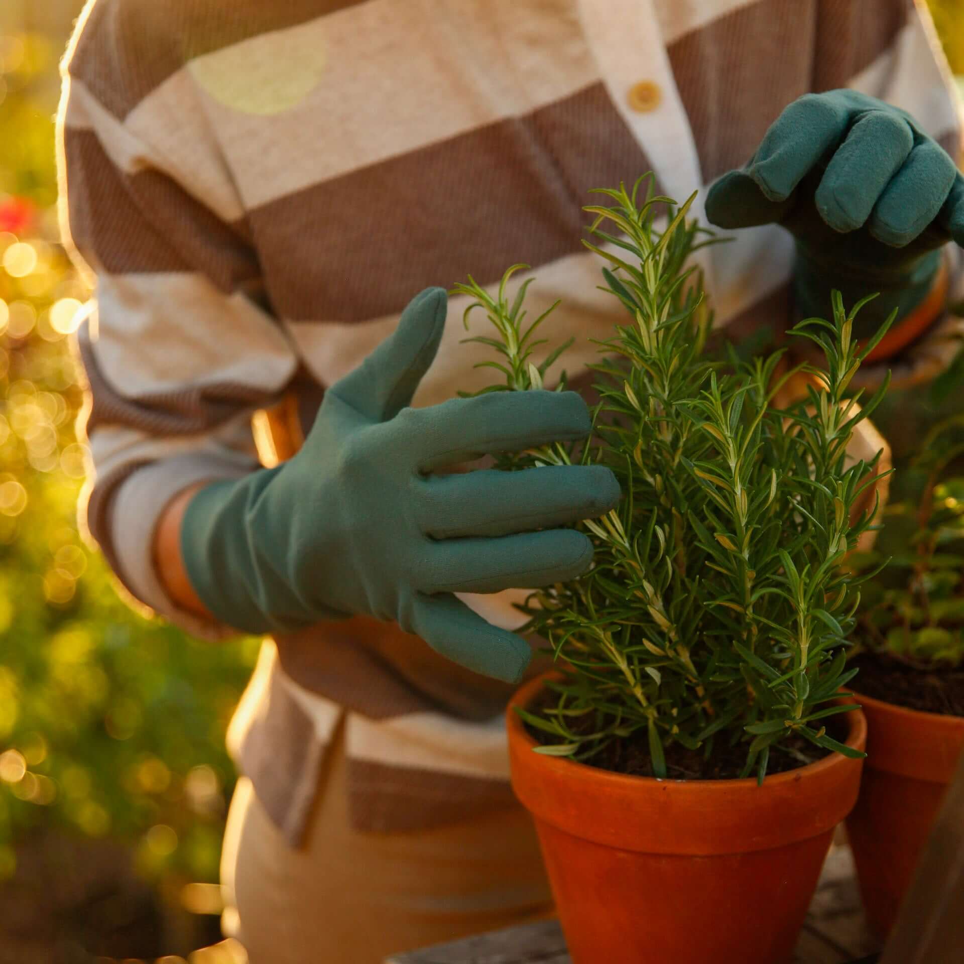 ferngully high rise gloves