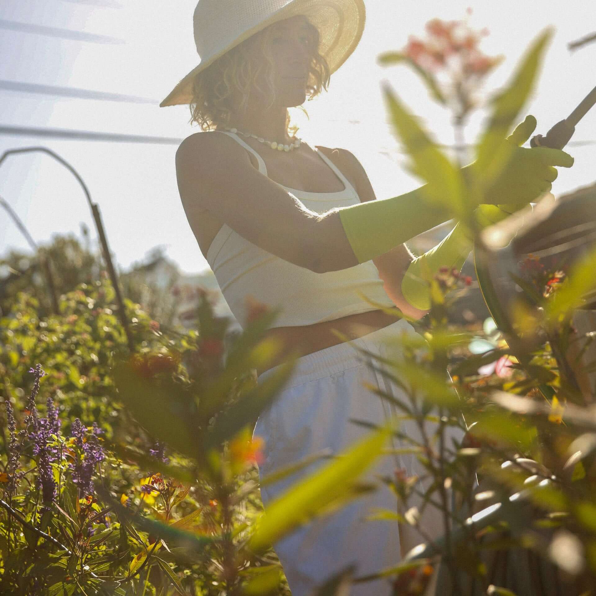 Person gardening in a sunlit garden