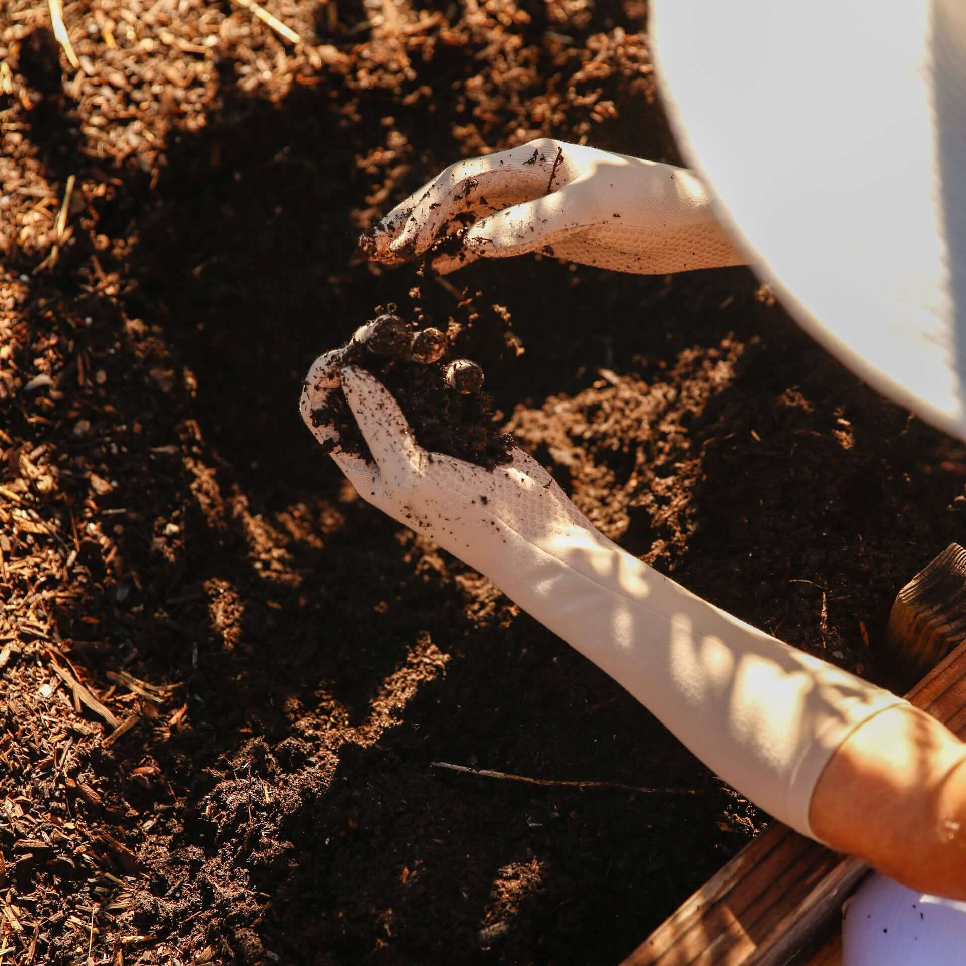 pinenut high rise gloves