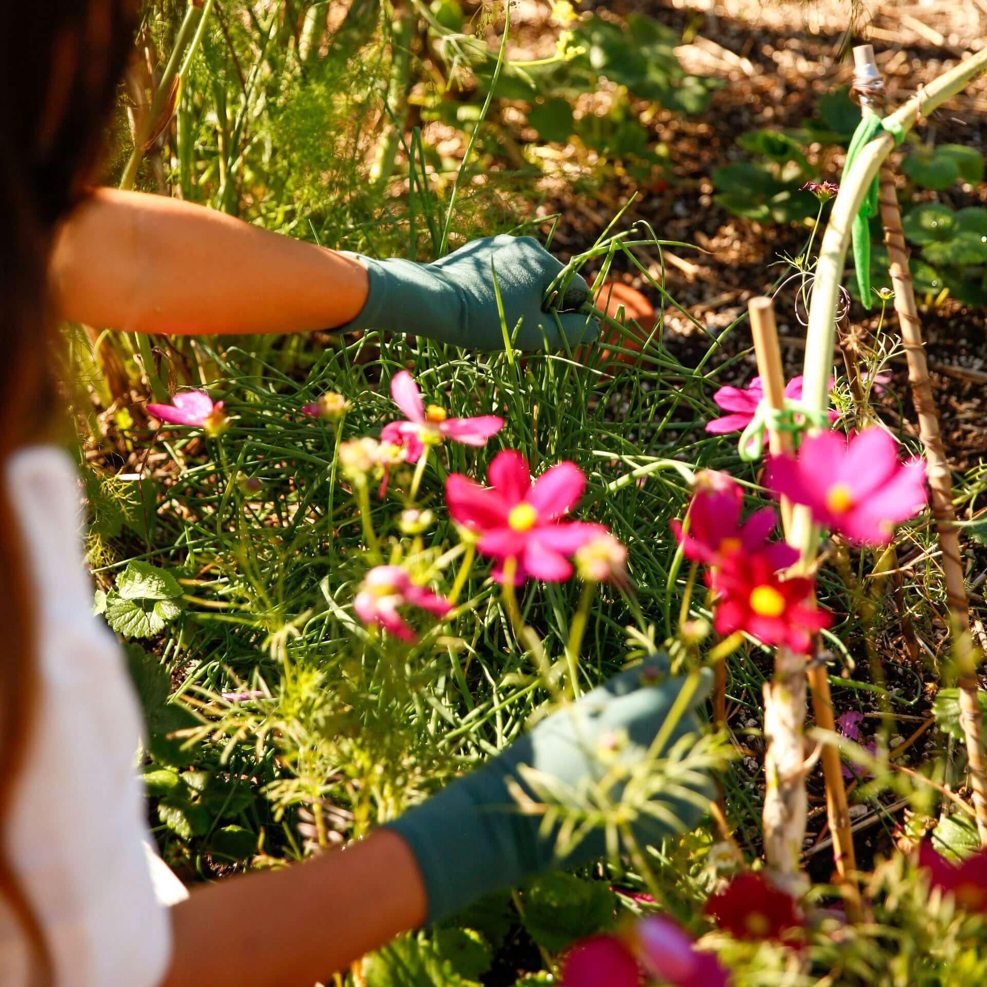 ferngully mid rise gloves