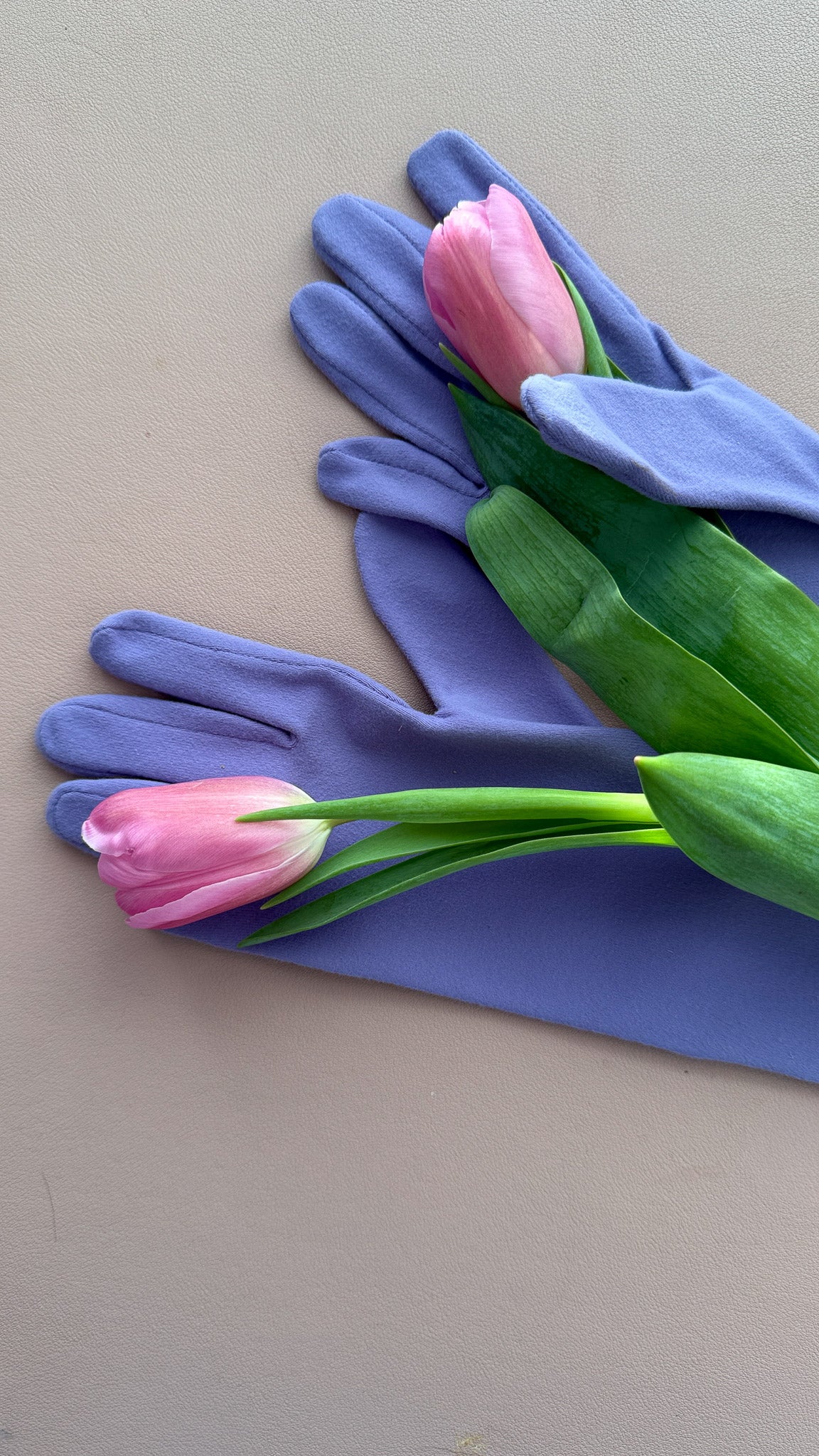 high rise gloves in haze