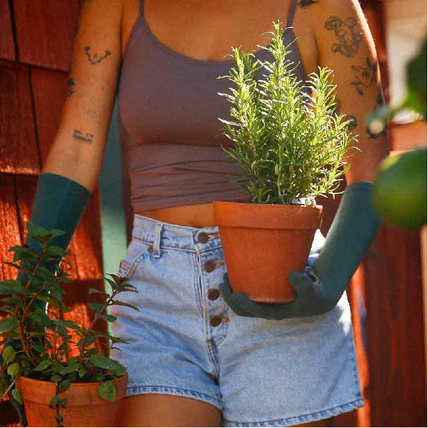 ferngully high rise gloves