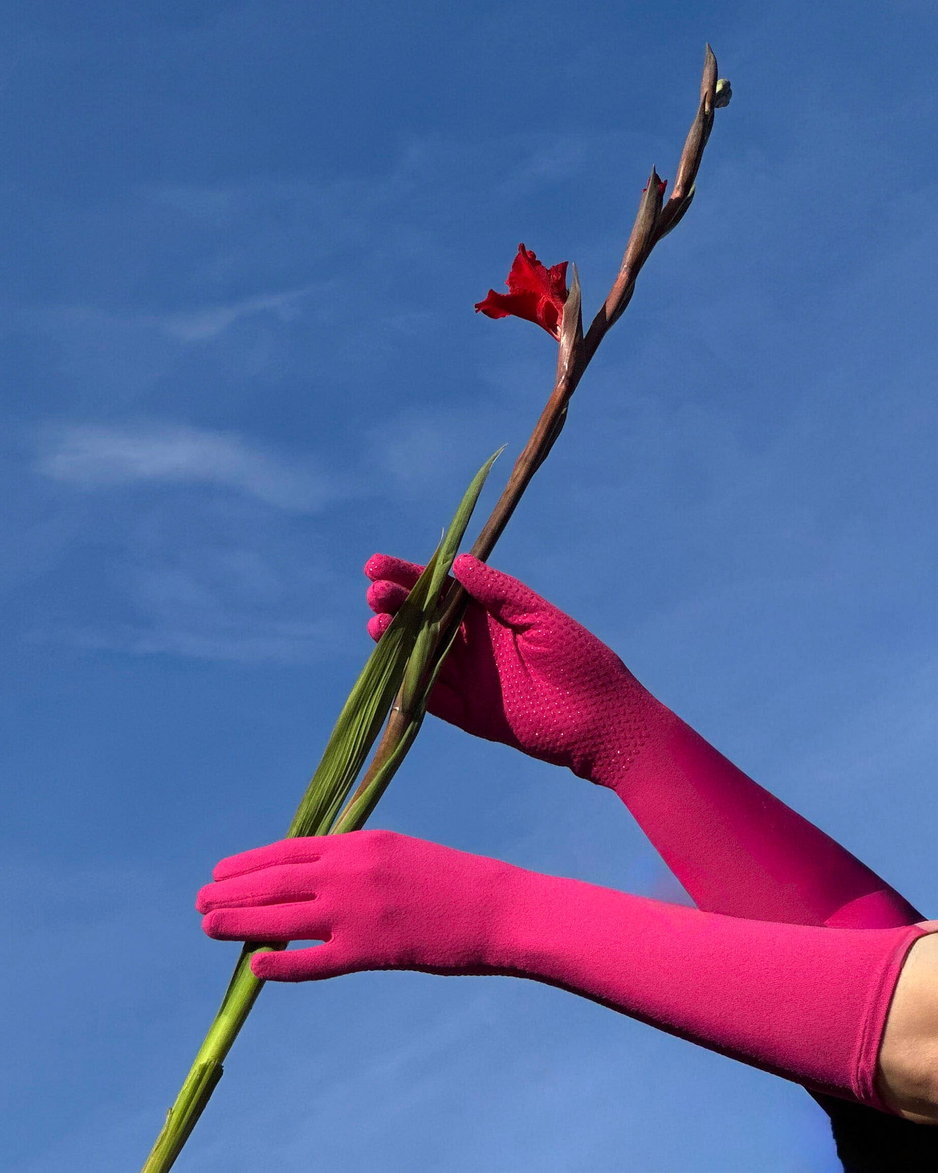 high rise gloves in tickled