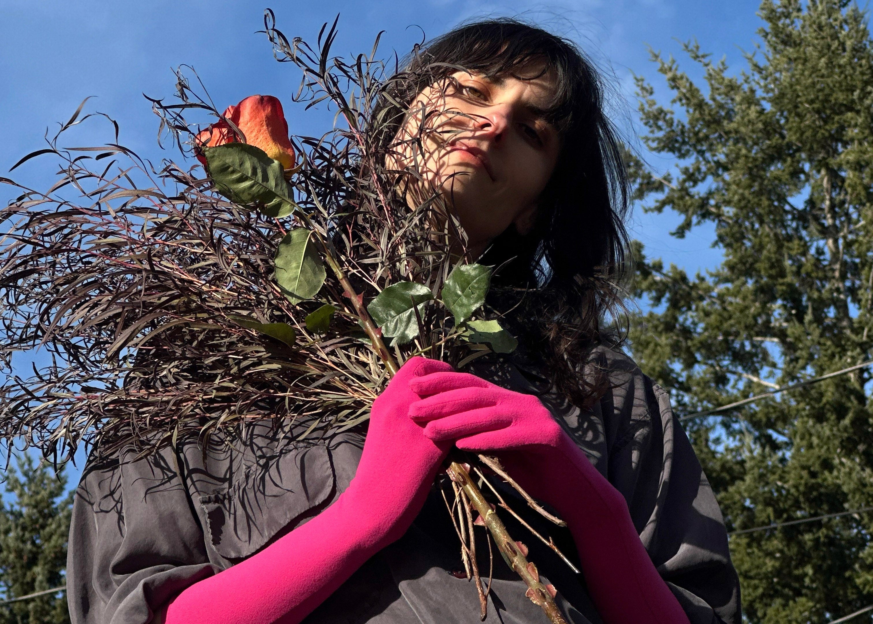 limited edition colors