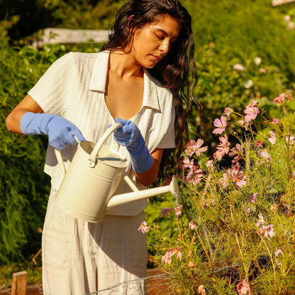 dewdrop high rise gloves