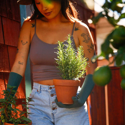 ferngully high rise gloves