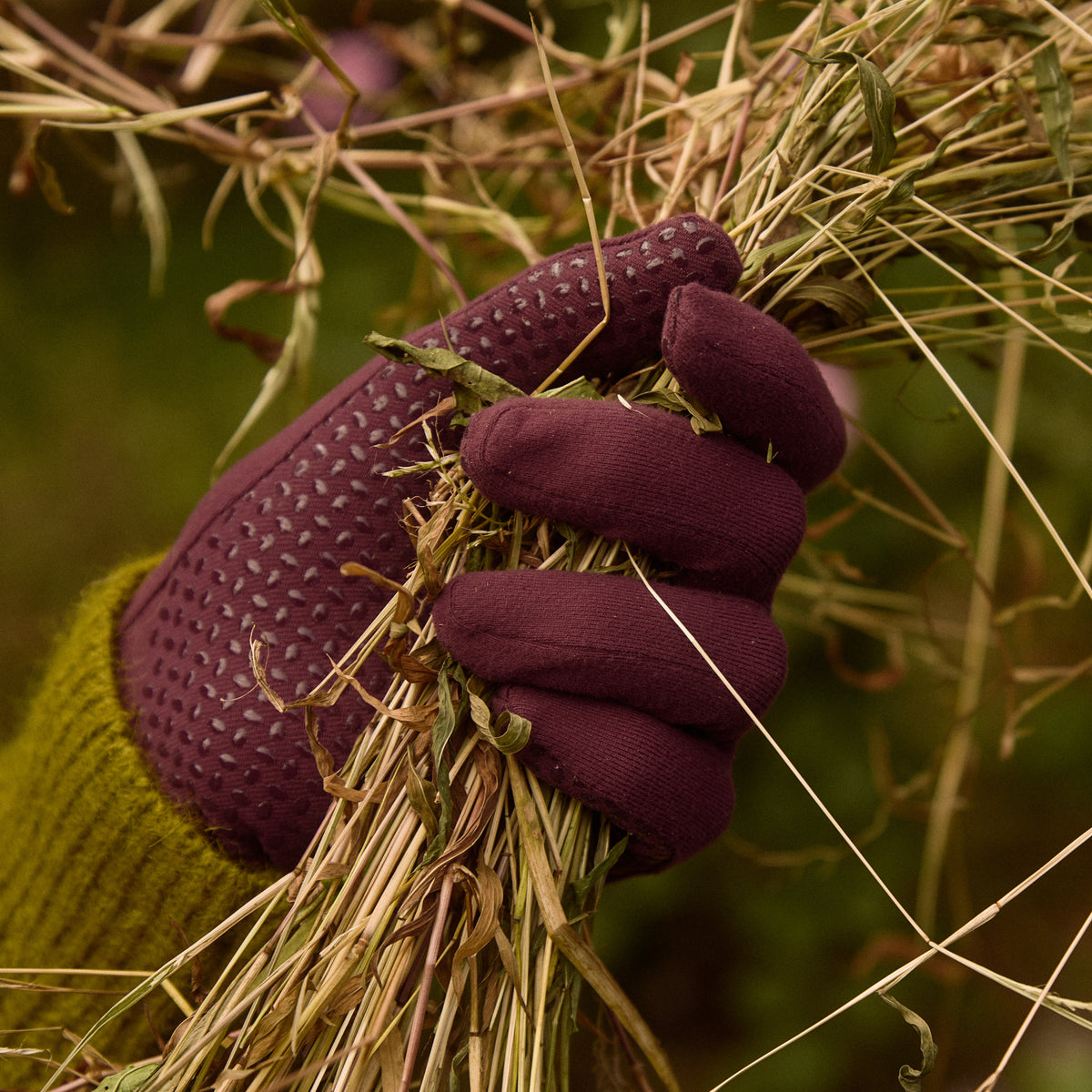the leaf peeper set
