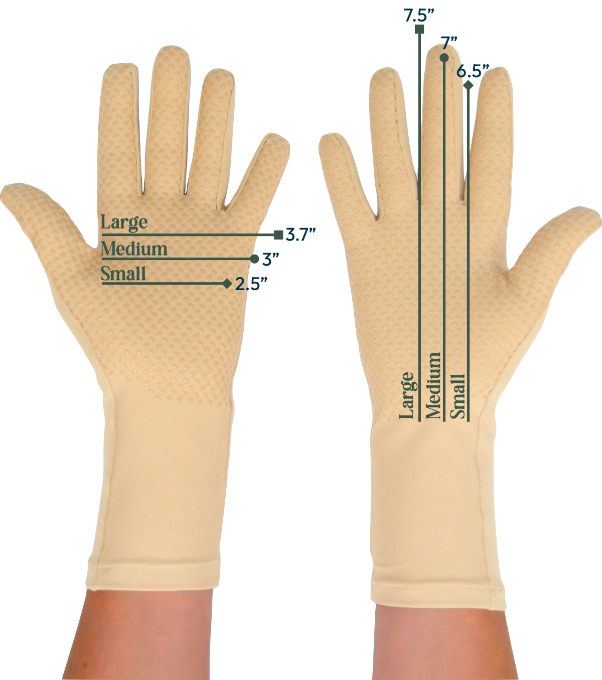 size chart, glove sizes, glove sizing, size guide, how to measure gloves, foxgloves size