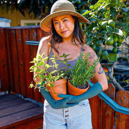 ferngully high rise gloves