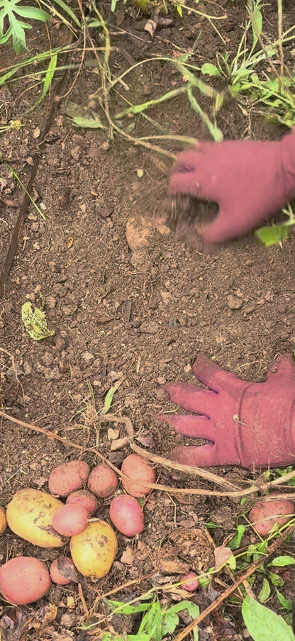 higarden high rise gloves