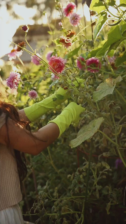 grass high rise gloves