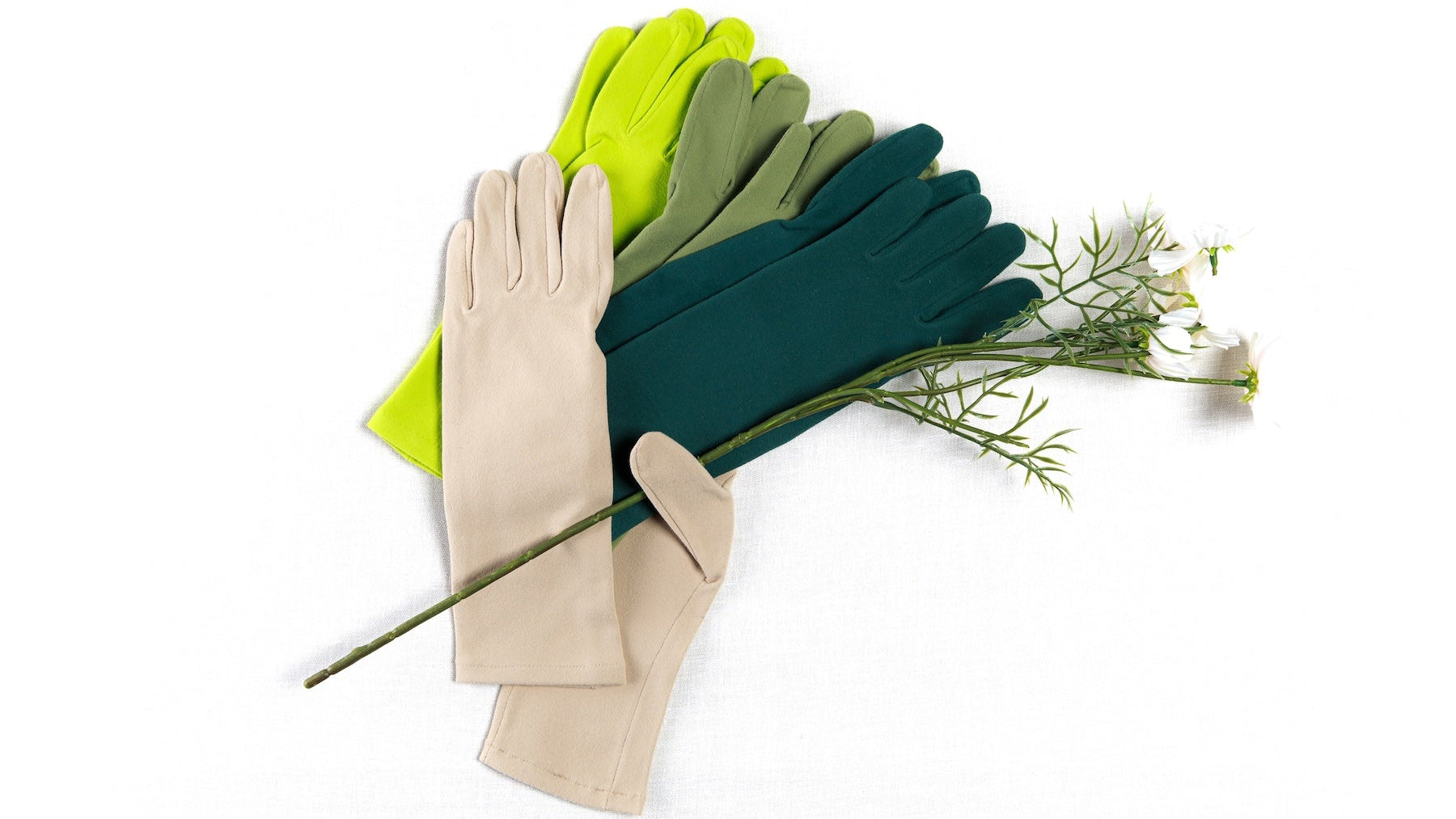 Set of gardening gloves and a branch with leaves on a white background